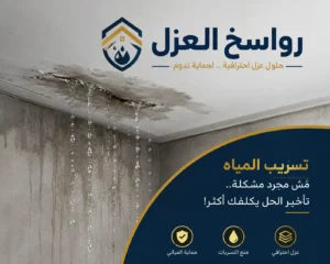 شركة كشف تسربات المياه في الرس
